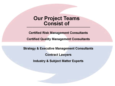 Our Project Teams Consist of...